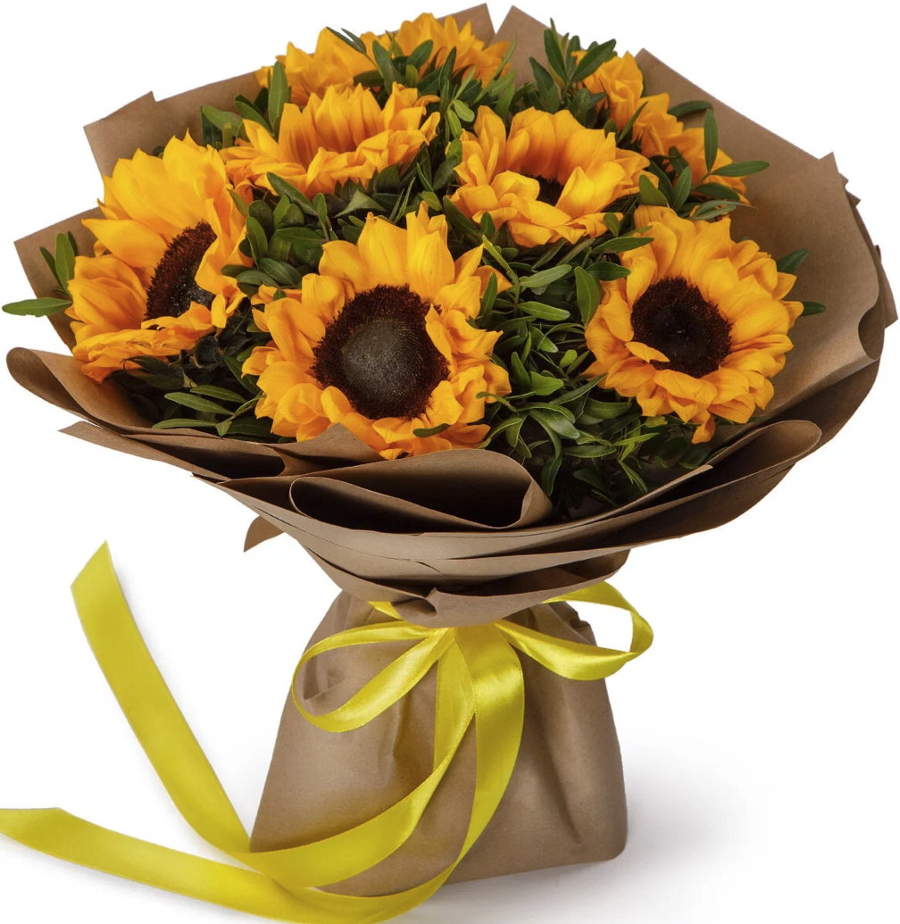 שמש מאוהבת שמש מאוהבת